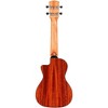 Alvarez AU66CCE Artist Series Concert Acoustic-Electric Ukulele Shadowburst - 2 of 4