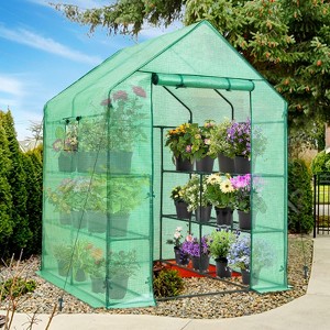 EAGLE PEAK Walk-in Greenhouse  2 Tiers 8 Shelves with Roll-up Zipper Door and 2 Side Mesh Windows, Portable Gardening Plant House, Green - 1 of 4