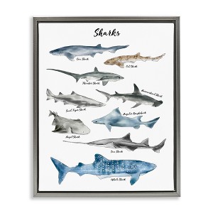 Stupell Industries Shark Chart Watercolor Marine Animals Floating Frame Canvas Art, Gray, 25" x 31" - 1 of 4