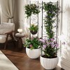 GustoWave Metal Trellis for Climbing Plants Outdoor, 72x20 Inch Garden Trellis - Black Iron Plant Trellis Outdoor, Sturdy Garden Trellis - 4 of 4
