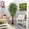 HomeStock  6.5 ft. Artificial Ficus Tree in Pot for Indoor/Outdoor - 4 of 4
