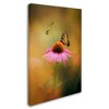 12" x 19" Butterflies At Play by Jai Johnson - Trademark Fine Art: Gallery-Wrapped Canvas, Giclee Print - 3 of 4