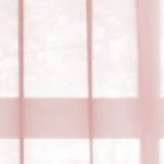 pale rose