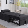 SKRAN Convertible Sleeper Couch Chair, Pull Out Sofa Bed Tufted Plush Seat with Backrest and Pillow for Bedroom, Living Room and Small Space - 2 of 4