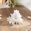 Set of 4 White Resin Coral Decorative Sculptures - 2 of 3