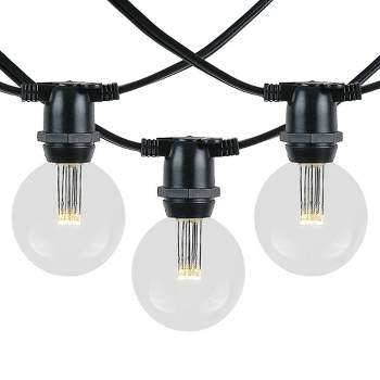 Novelty Lights Globe Outdoor String Lights with 80 In-Line Sockets Black Wire 100 Feet