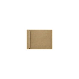 LUX 8 1/2 x 10 1/2 Open End Envelopes 50/Pack Grocery Bag (4892-GB-50) - 1 of 1
