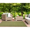 Liora Manne Avalon  Indoor/Outdoor Rug  Green.. - 4 of 4