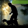 Unique Bargains Nylon Dog Leash Sponge Handle Reflective Rope Length 51.18" Diameter 1/2 inch - 2 of 4