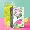 Wyler's Light Watertok Flavors Variety Sugar-Free Drink Mix - 20ct - 2 of 4