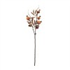 Fall Pomegranate Twig Spray (Set of 6) - 2 of 2
