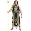 HalloweenCostumes.com All Powerful Pharaoh Plus Size Costume for Men - 2 of 3