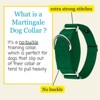 Country Brook Petz HossFit Jr Wide Martingale Dog Collar - Training Collar with No Buckle - Vibrant, Colorful Collection - 3 of 4