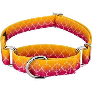 Country Brook Petz Martingale Dog Collar - Abstract Collection - 1 of 4