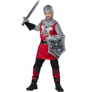 California Costumes Brave Knight Boys' Costume - 1 of 1