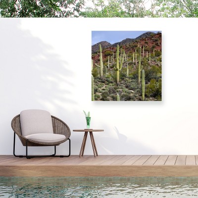 "Santa Catalina Mountains" Outdoor Canvas
