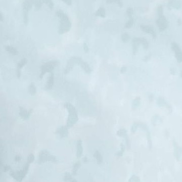 Light Blue Leopard Print