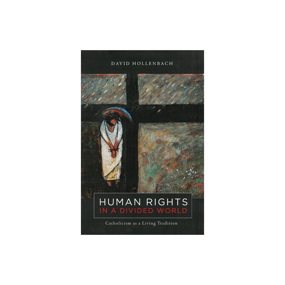 Human Rights in a Divided World - (Moral Traditions) by David Hollenbach (Paperback)