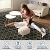 Acekool Machine Washable Area Rug, Geometric Low Pile Non Slip Soft Carpet for Living Room, Bedroom, Farmhouse - 4 of 4