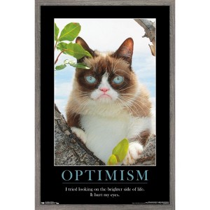 Trends International Grumpy Cat - The Brighter Side Framed Wall Poster Prints - 1 of 4