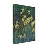 "The Yellow Irises" Outdoor All-Weather Wall Decor - 2 of 4