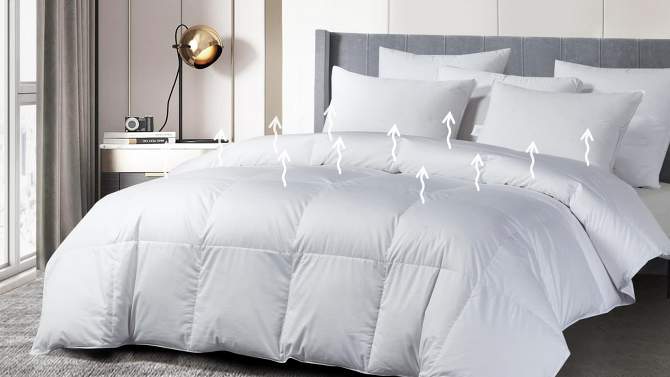 400 Thread Count All Seasons European Goose Down Comforter - Beautyrest, 2 of 7, play video