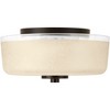 Progress Lighting Alexa Collection 2-Light Flush Mount Antique Bronze Glass Shade - image 2 of 2