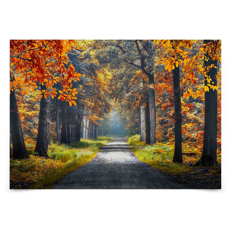 Americanflat Modern Wall Art Room Decor - Dutch Forest by Manjik Pictures, 1 of 7