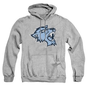 Men's Baruch College Distressed Primary Logo Pull-Over Hoodie - 1 of 4