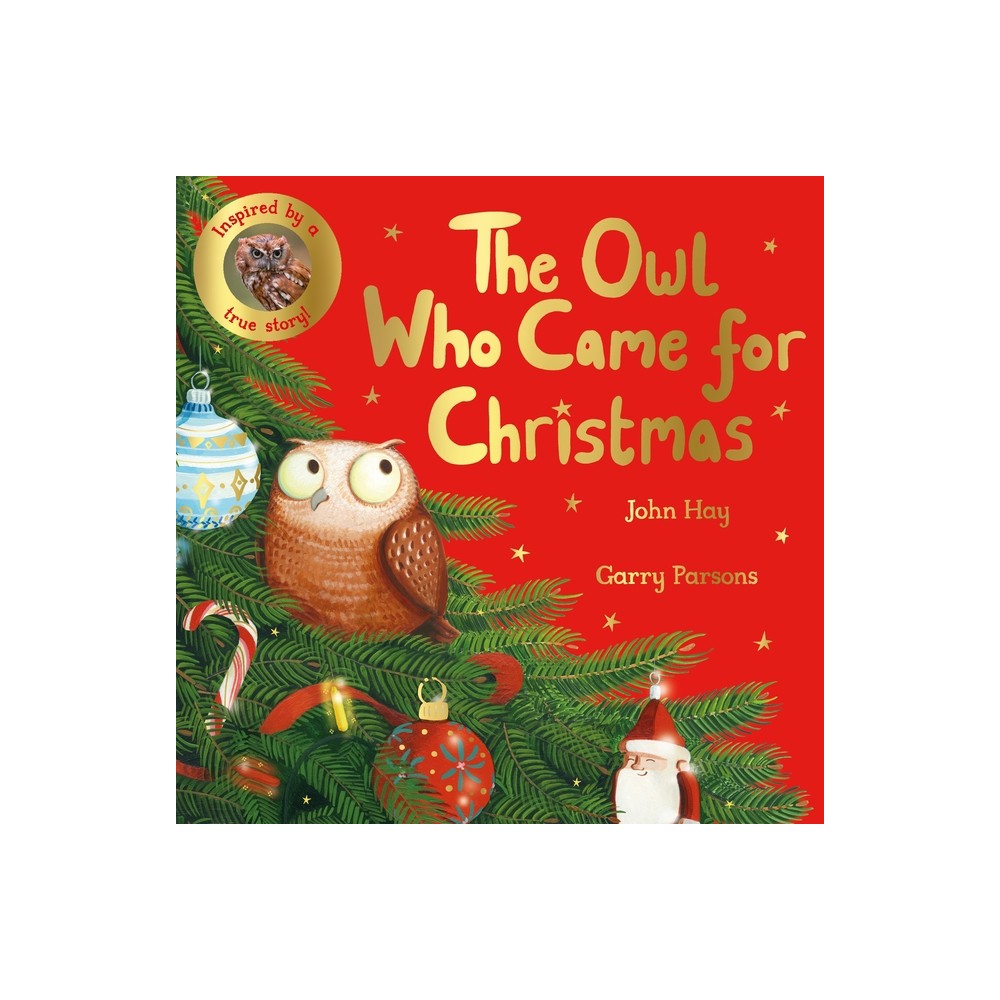 The Owl Who Came for Christmas - by John Hay (Hardcover)