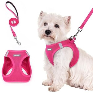 rabbitgoo Dog Harness Small Sized and Leash Set, Breathable Mesh Pet Harness, Reflective for Safe Easy Walking, Rose Red S - 1 of 1
