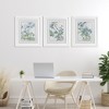 Stupell Industries Wild Blooms with Detailed Outlines 3pc Framed Print Under Glass Set - 2 of 4