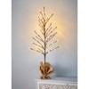 The Lakeside Collection Spring Woodland Forest Home Collection - Lighted Twig Tree - 3 of 3