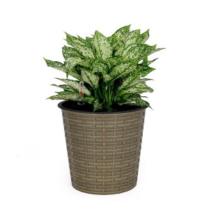 NAYSAYE Wicker Planter for Indoor Outdoor Plants Flowers Herbs with Built In Reservoir for Easy Care, Natural, 10.2"*10.2"*9.4" - 1 of 4