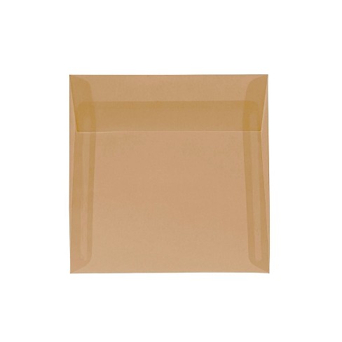 JAM Paper 4.125 x 9.5 Business Translucent Vellum Envelopes