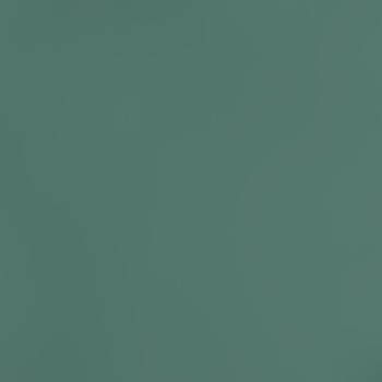 washed evergreen
