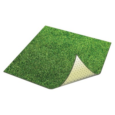 Pooch pad outlet grass