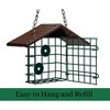 JCS Wildlife Single Suet Cage with Poly Lumber Roof - 2 of 4