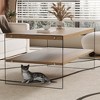 MAYEERTY Double Layered Rectangular Coffee Table for Living Rooms and Bedrooms - 2 of 4