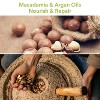 Macadamia Natural Oil Healing Oil Treatment in Glass Bottle | Damage Control | UV Protection | Smoothening - (4.2 oz) - 2 of 4