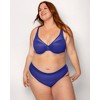 Curvy Couture Women's Mesh High Cut Brief Panty Sunset Glow - 2 of 4