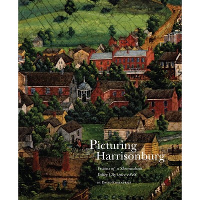 Picturing Harrisonburg - by  David Ehrenpreis (Hardcover)