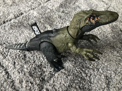 Jurassic World Dino Trackers Wild Roar Orkoraptor Action Figure : Target