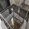 Bird Cage, 45 x 45 x 60 cm, Small Animal Cage for Birds, Includes Rotating Feeders and Perches - 3 of 4