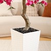 DR.Planzen UV Resistant 6-7FT Pre Potted Artificial Bougainvillea Red Flowers Tree with White Tall Planter for Indoor Outdoor Home Decor - 4 of 4