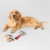 Halloween Plush Rope Dog Toy Set - 2pc - Hyde and EEK! Boutique™ - 2 of 3