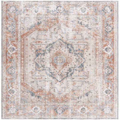 Baltimore BAL854 Power Loomed Area Rug  - Safavieh