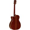 Alvarez Yairi WY1 Cutaway Folk-OM Acoustic-Electric Guitar - 4 of 4