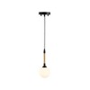 Artcraft Lighting Capilano 1 - Light Pendant in  Black - 2 of 4