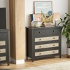 ChicFurnit Utility Storage Cabinets 4 Drawers Rattan Storage Cabinet Floor Cabinet Accent Cabinet for Home Living, Black, 45"*19"*7" - 4 of 4